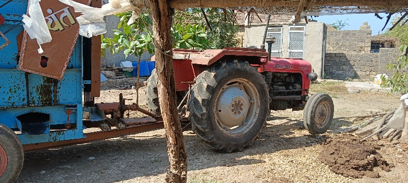 Massey standerd