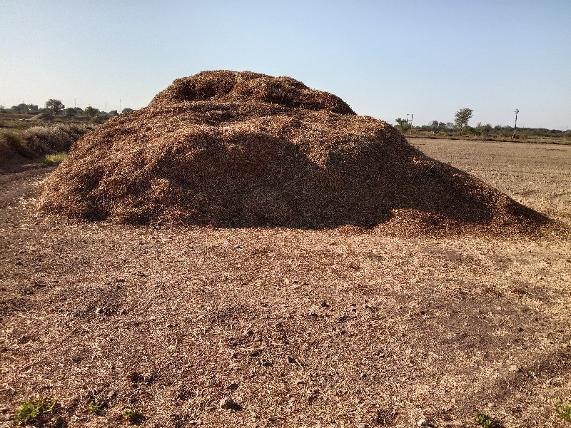 માંડવી નો ભુકો...