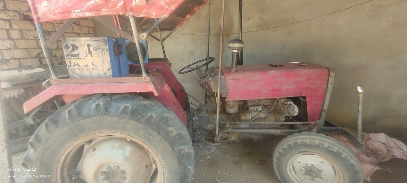 1994મોડલ