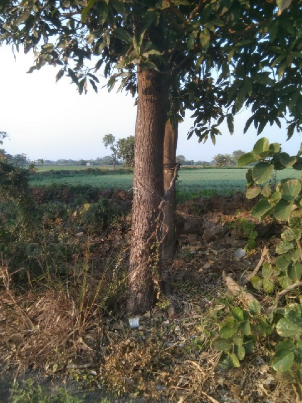 આબા 5 .