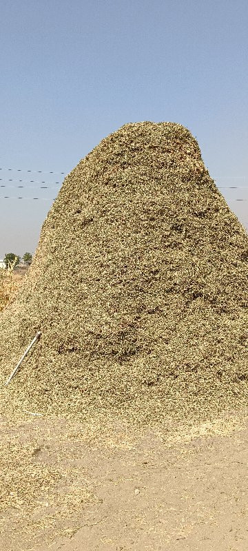 ભુકો વેચવાનો છે...