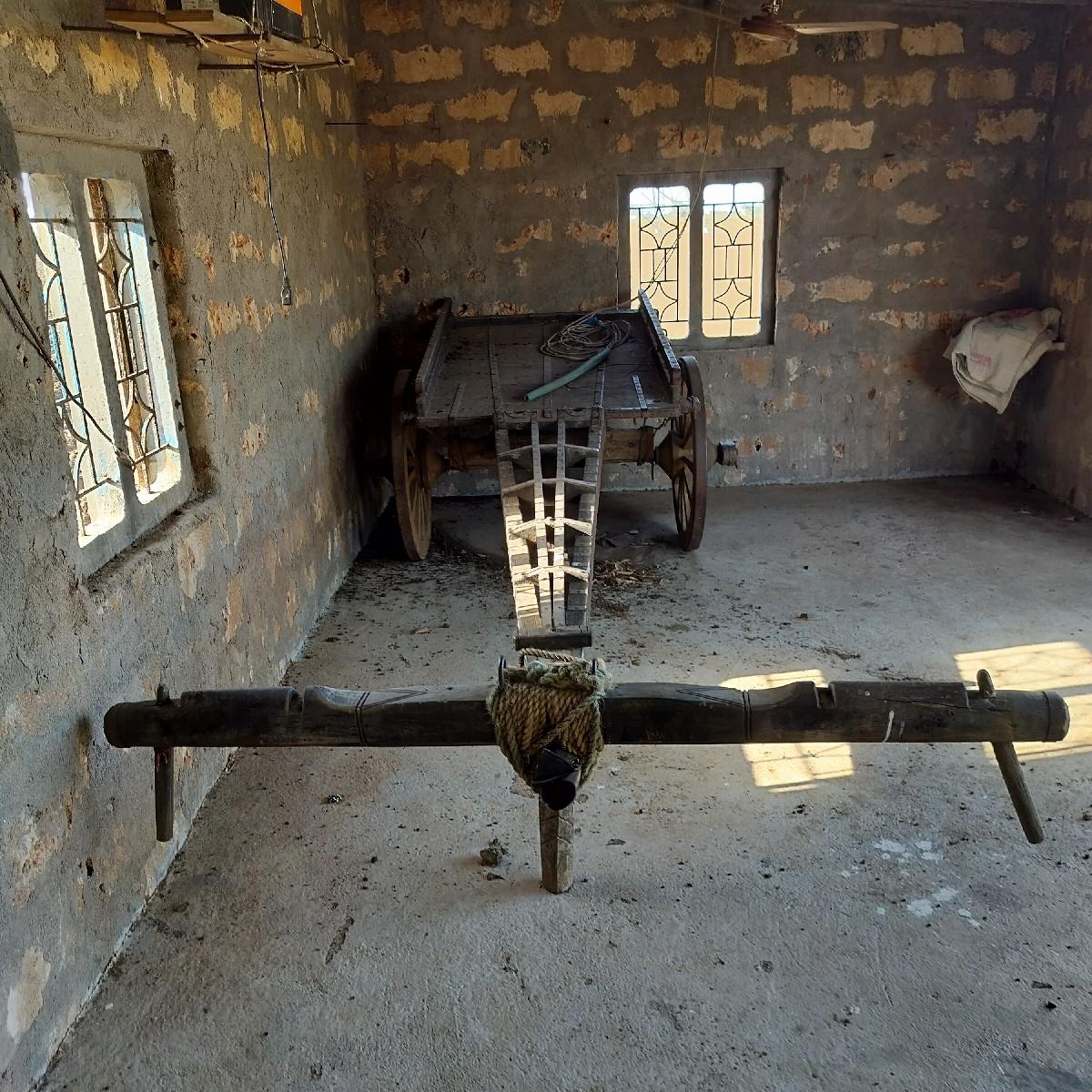 थंबनेल 3