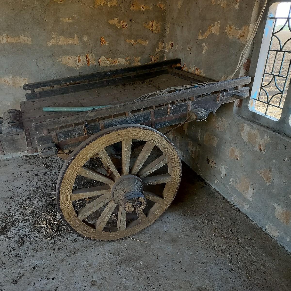 थंबनेल 2