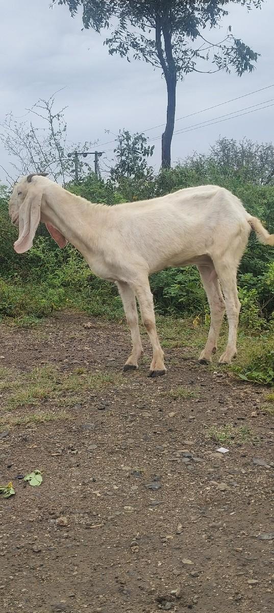 થંબનેલ 2