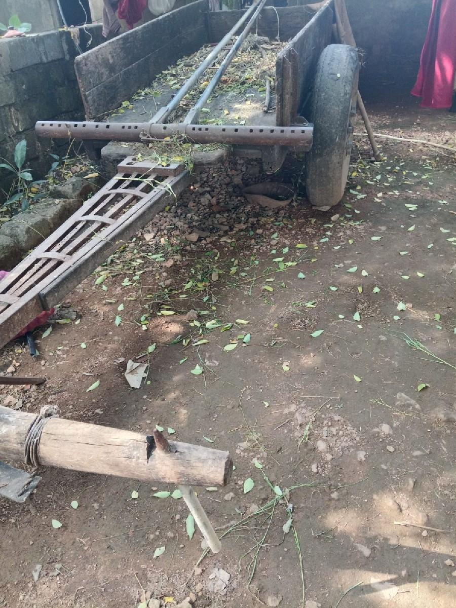 थंबनेल 2