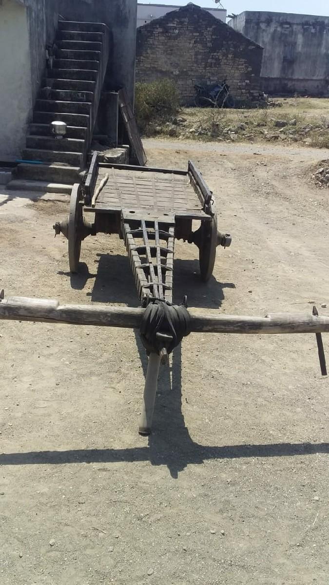 थंबनेल 2