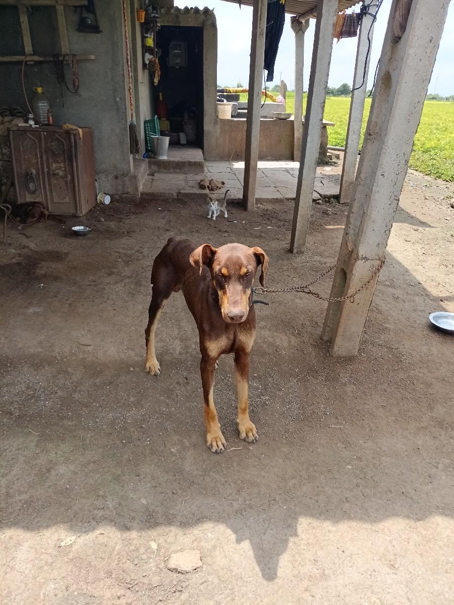 થંબનેલ 3