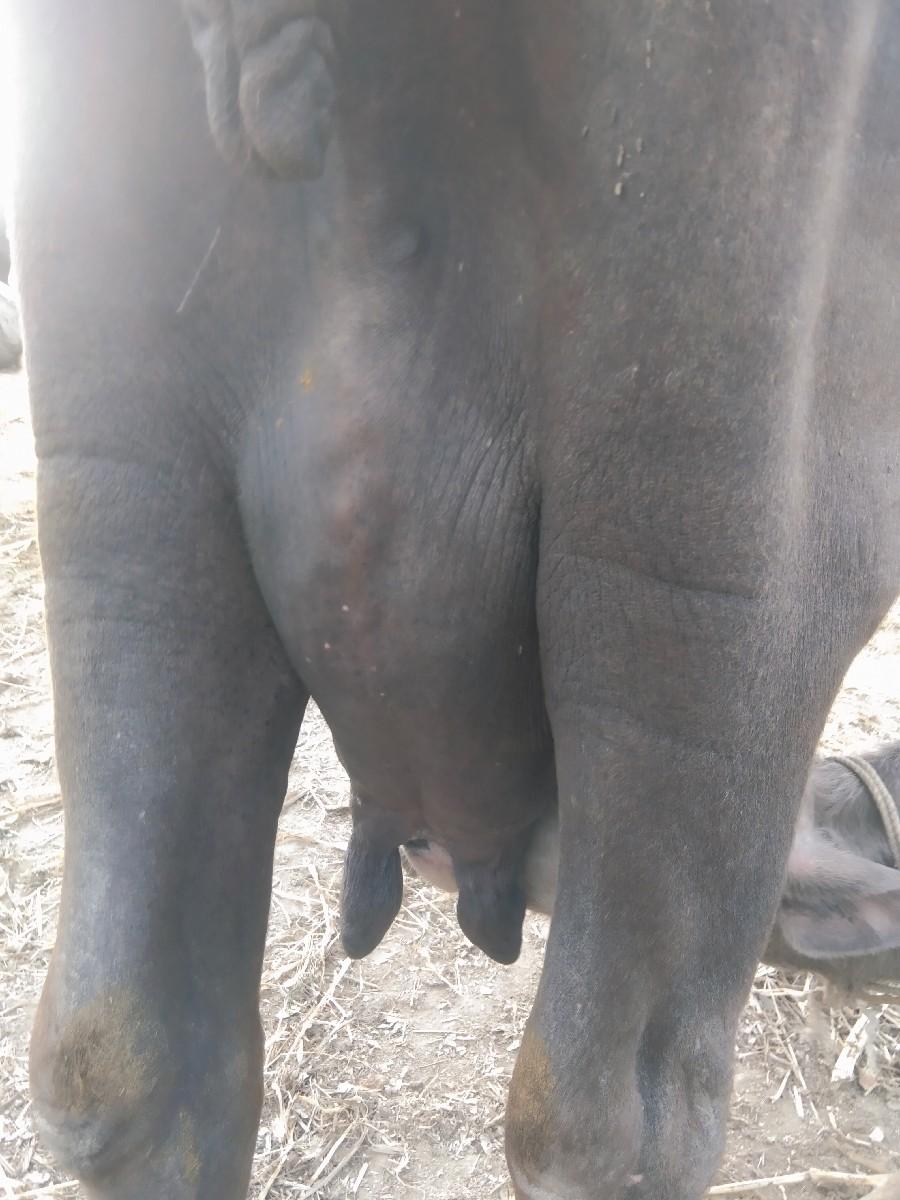 થંબનેલ 2