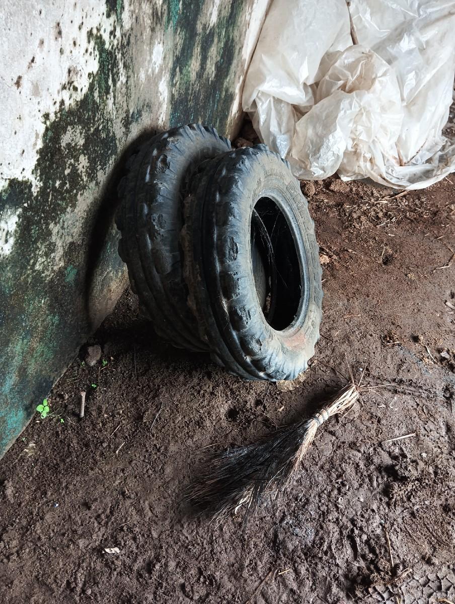 थंबनेल 3