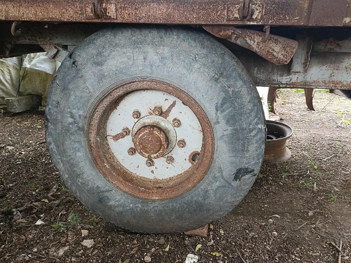 થંબનેલ 2