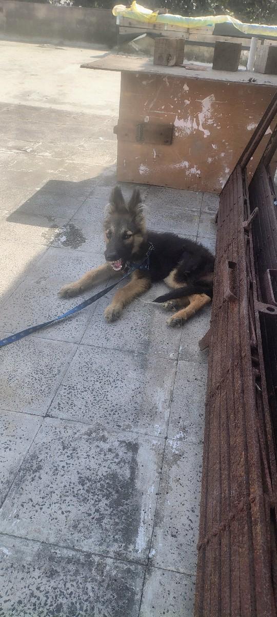 થંબનેલ 2