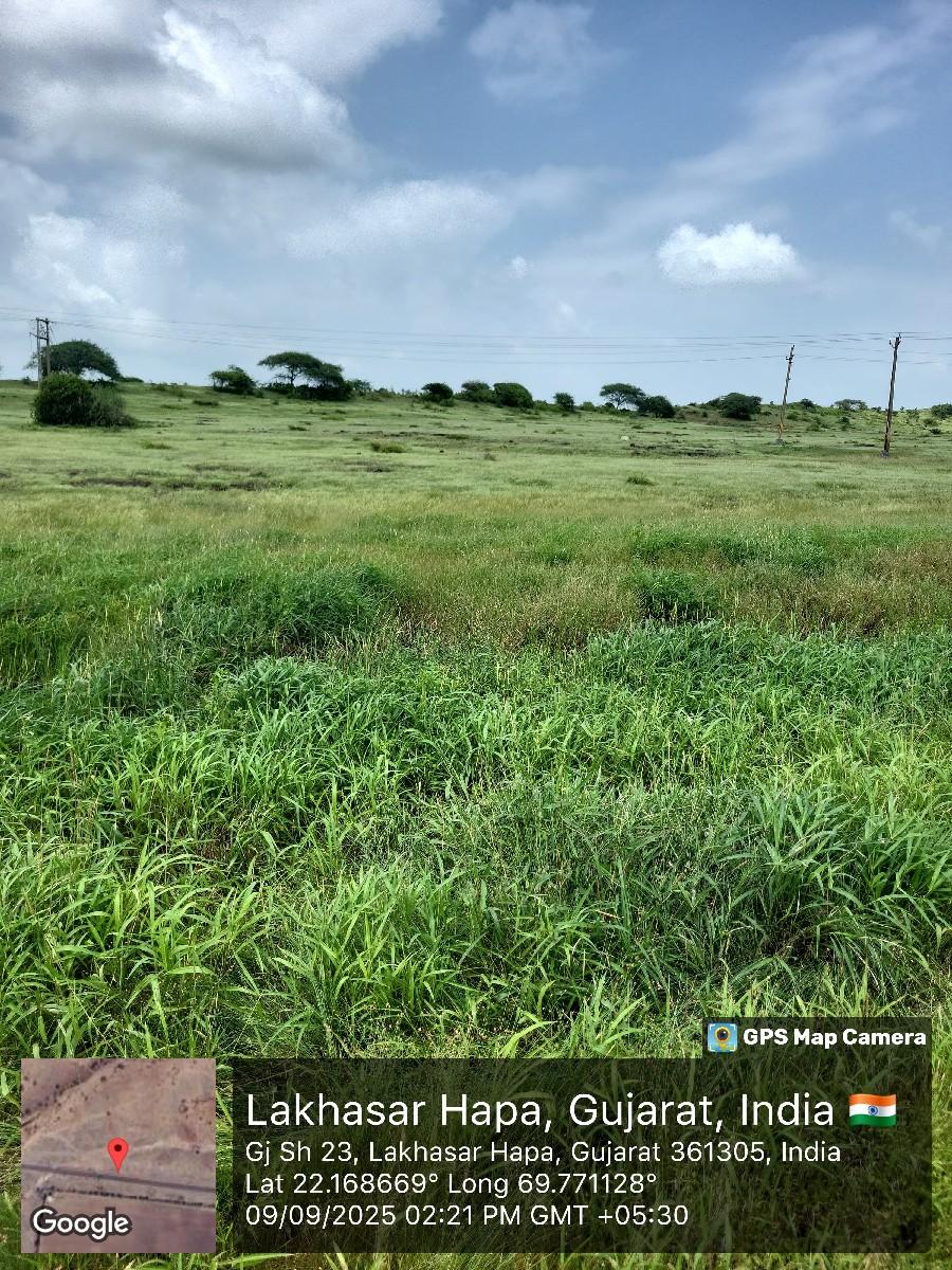 ખેતીની જમીન લેવાની છે.