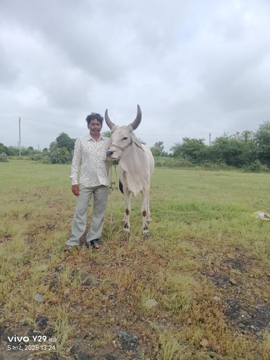 થંબનેલ 2