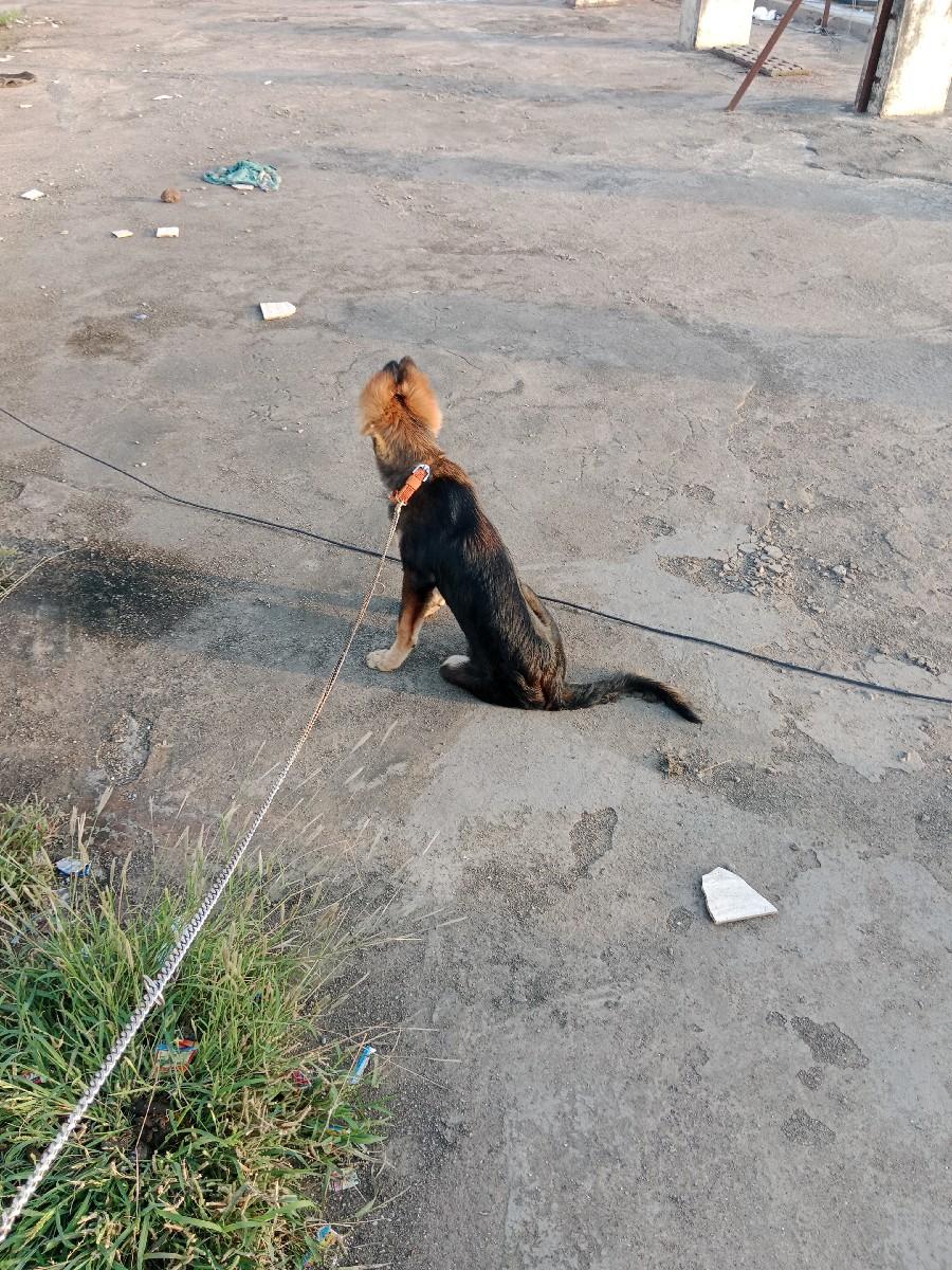 થંબનેલ 3