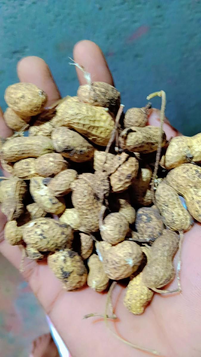 થંબનેલ 3