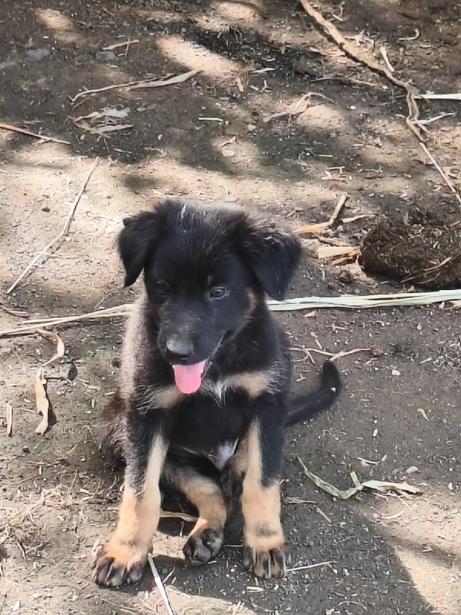 थंबनेल 2