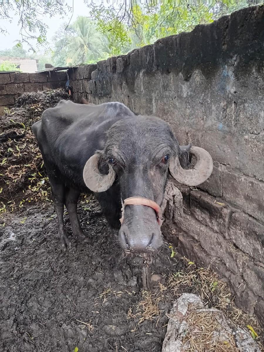 વેચવાની છે