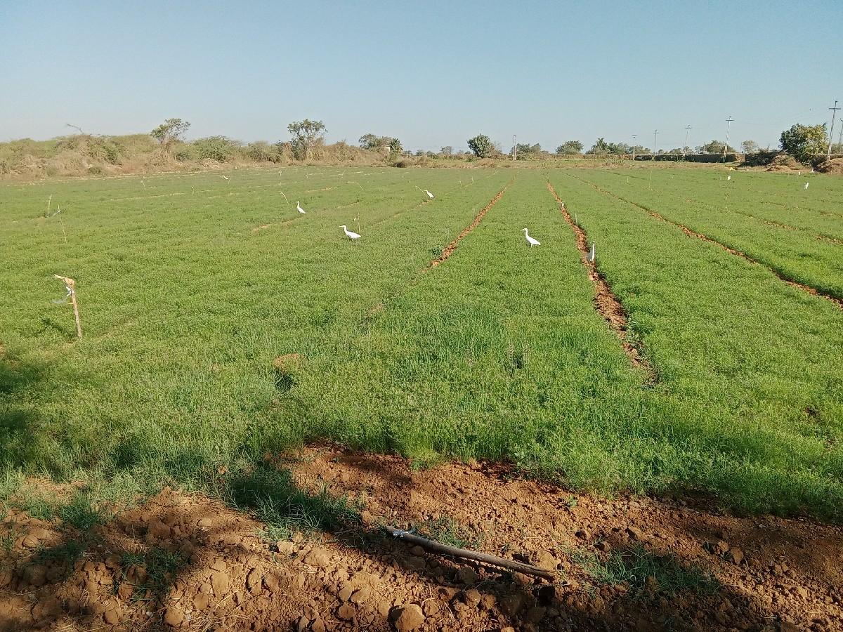 જમીન વેચવાની