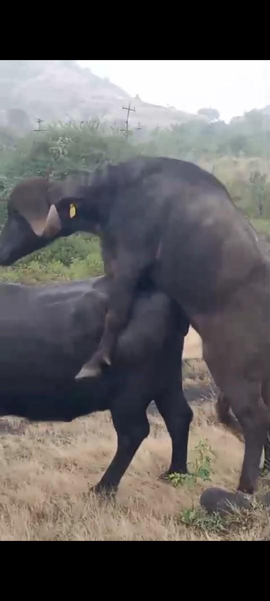 થંબનેલ 3