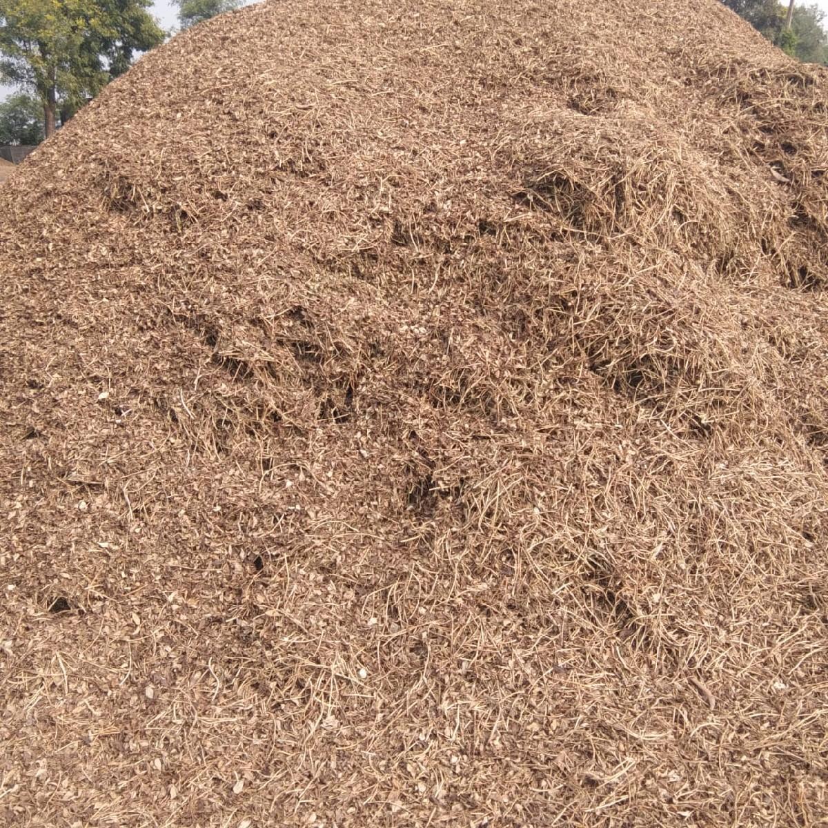 ભુકો વેચવાનો છે