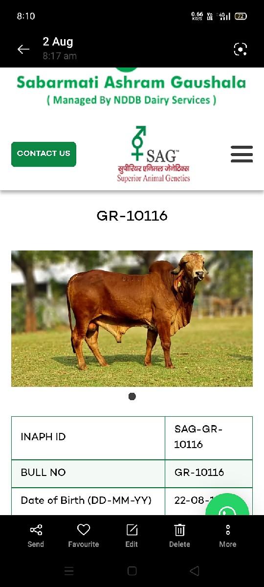 થંબનેલ 2