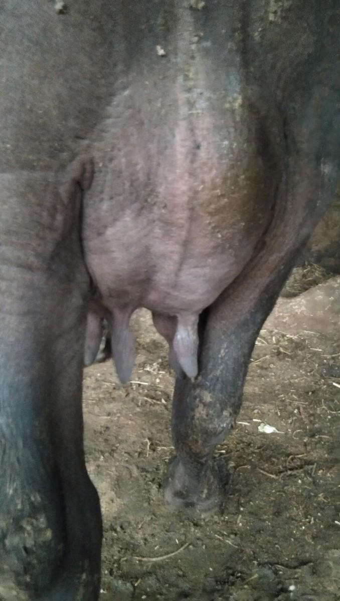 થંબનેલ 3