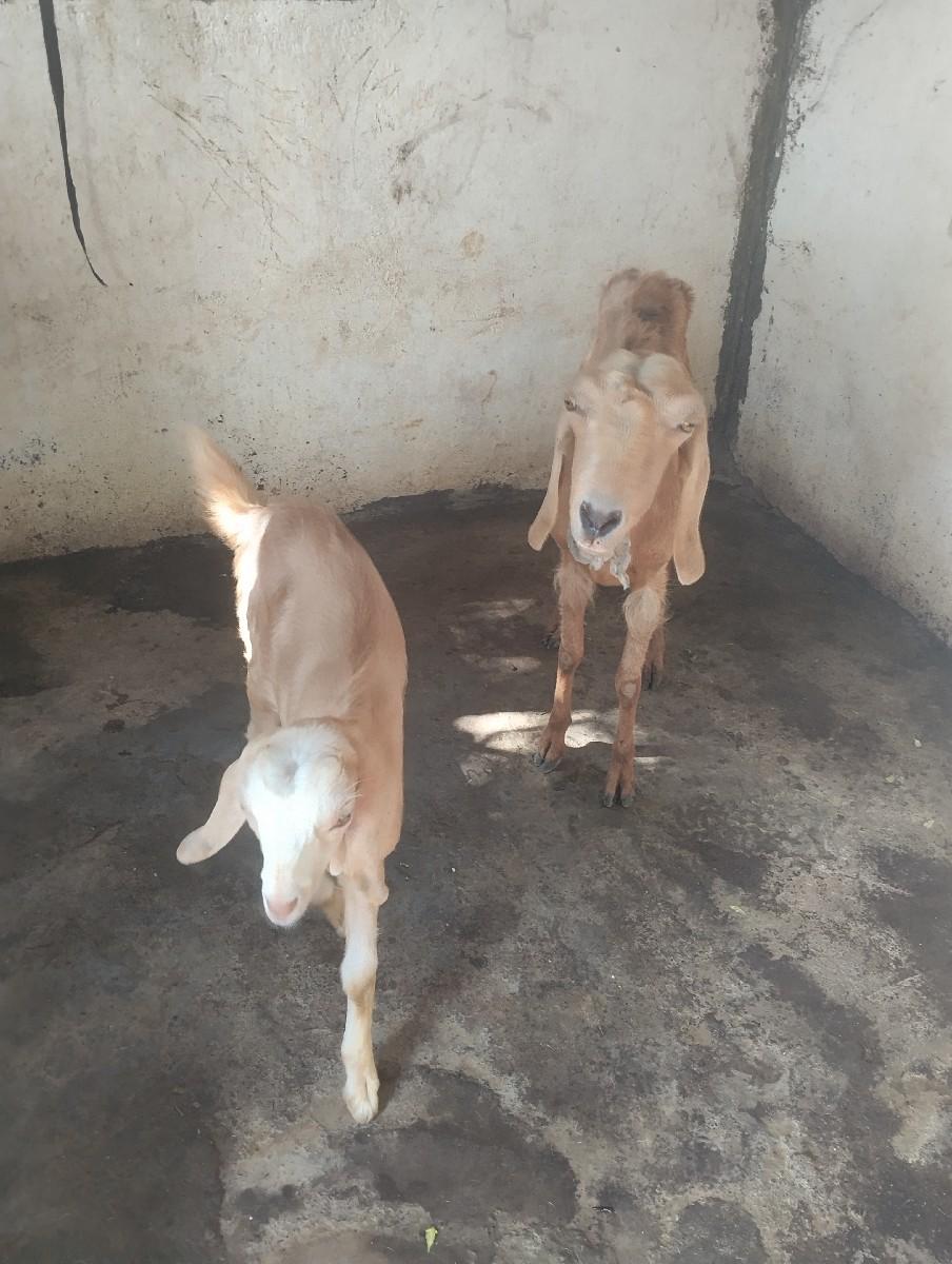 થંબનેલ 3