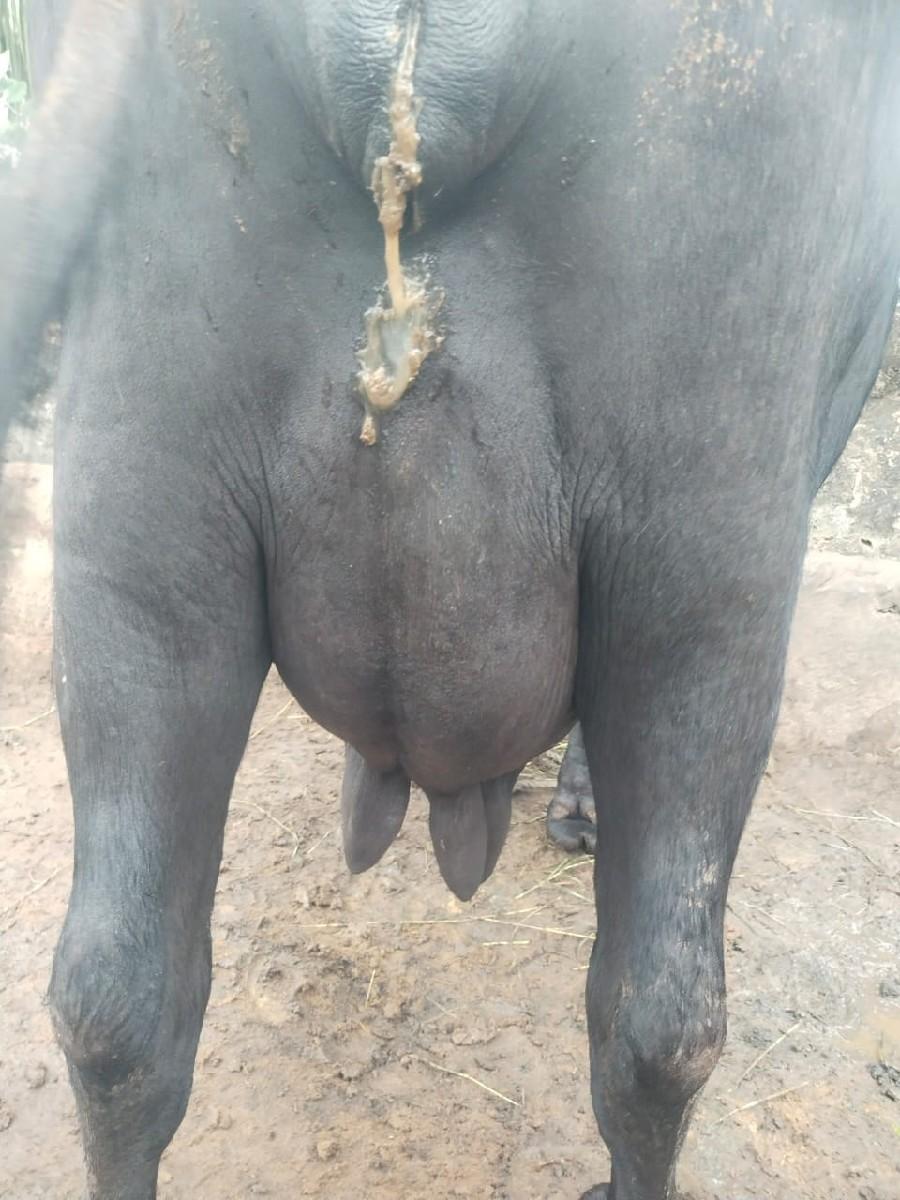 થંબનેલ 3