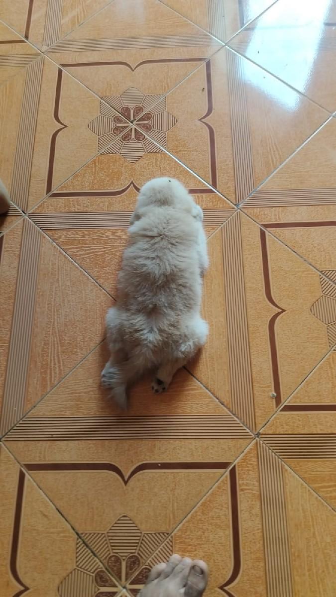 થંબનેલ 2