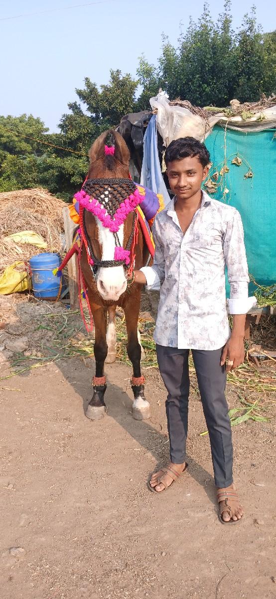 થંબનેલ 3