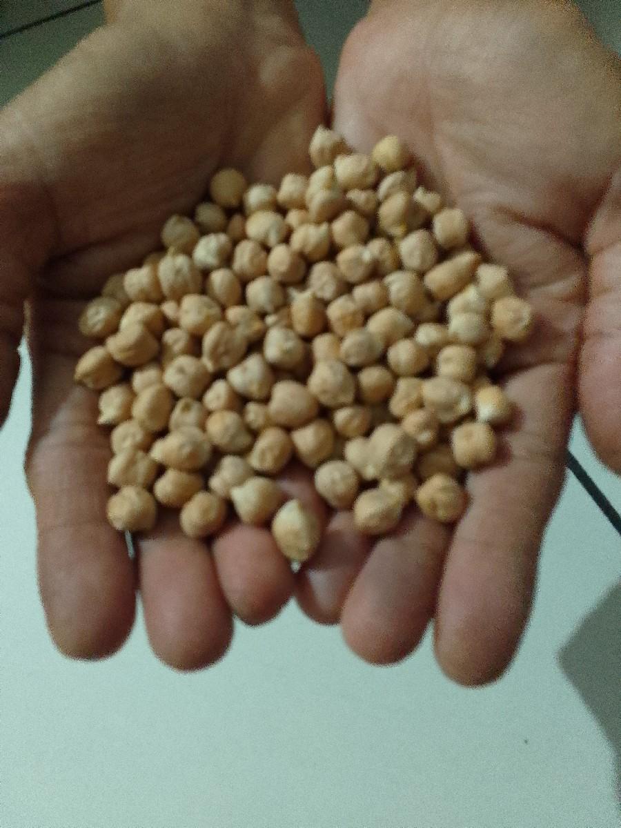 B2 ચણા વેચવાના છે