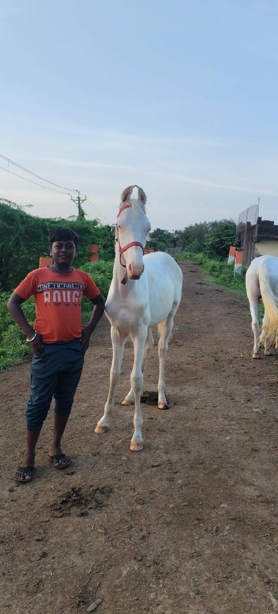 થંબનેલ 3