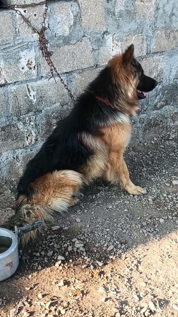 થંબનેલ 3