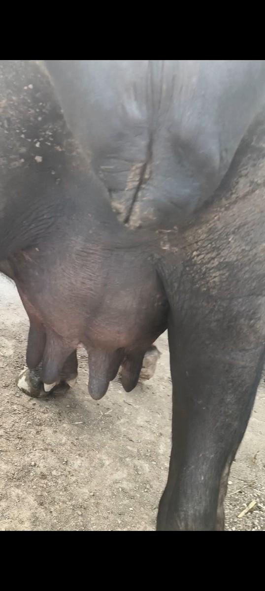 થંબનેલ 3