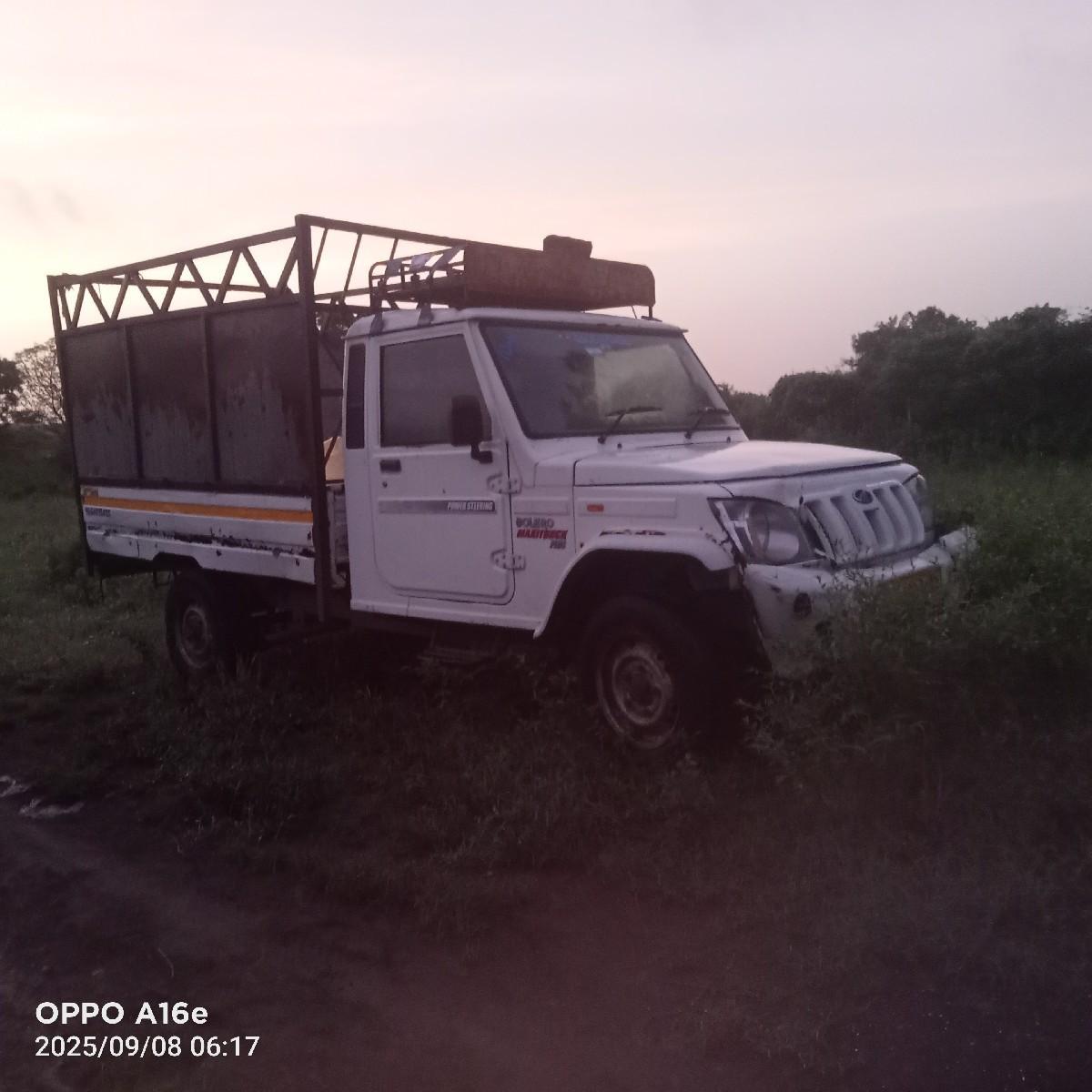 થંબનેલ 2