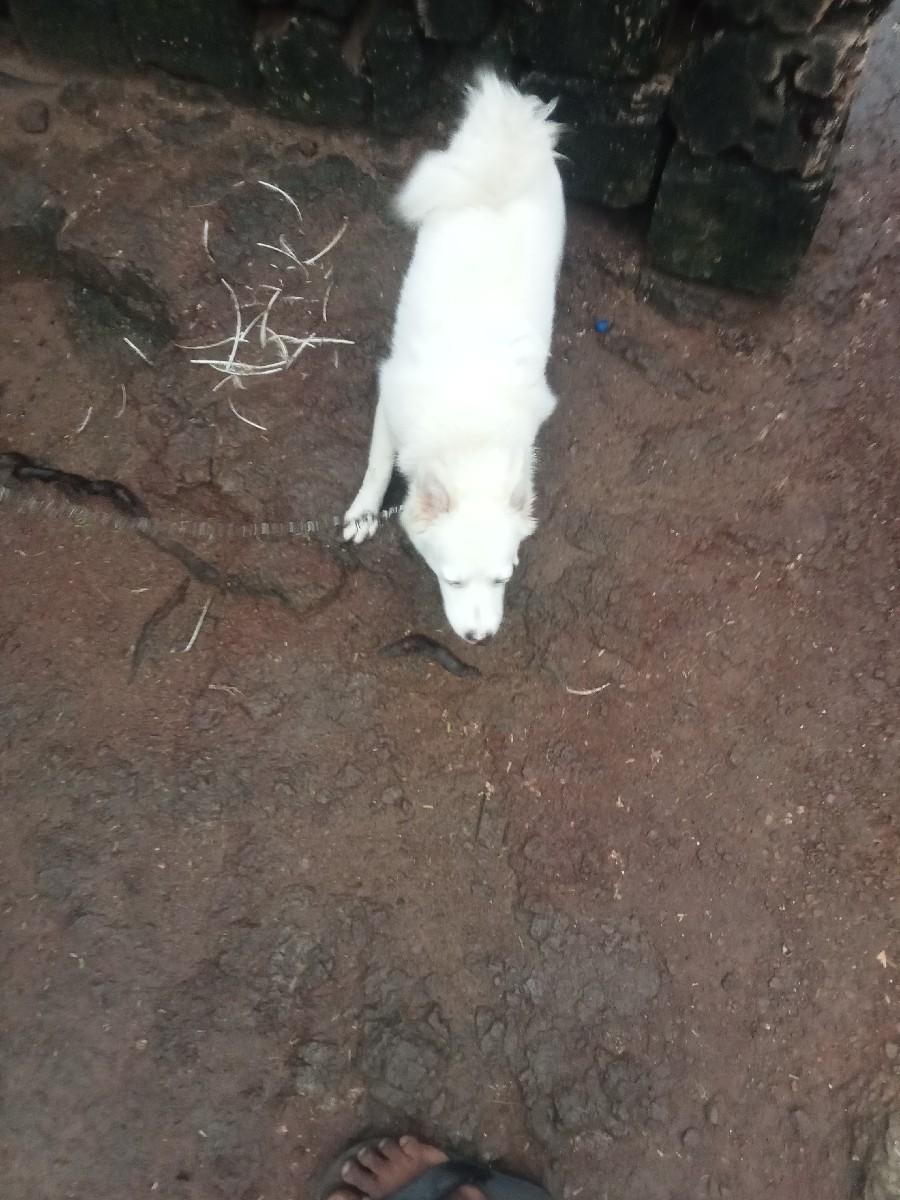 થંબનેલ 3