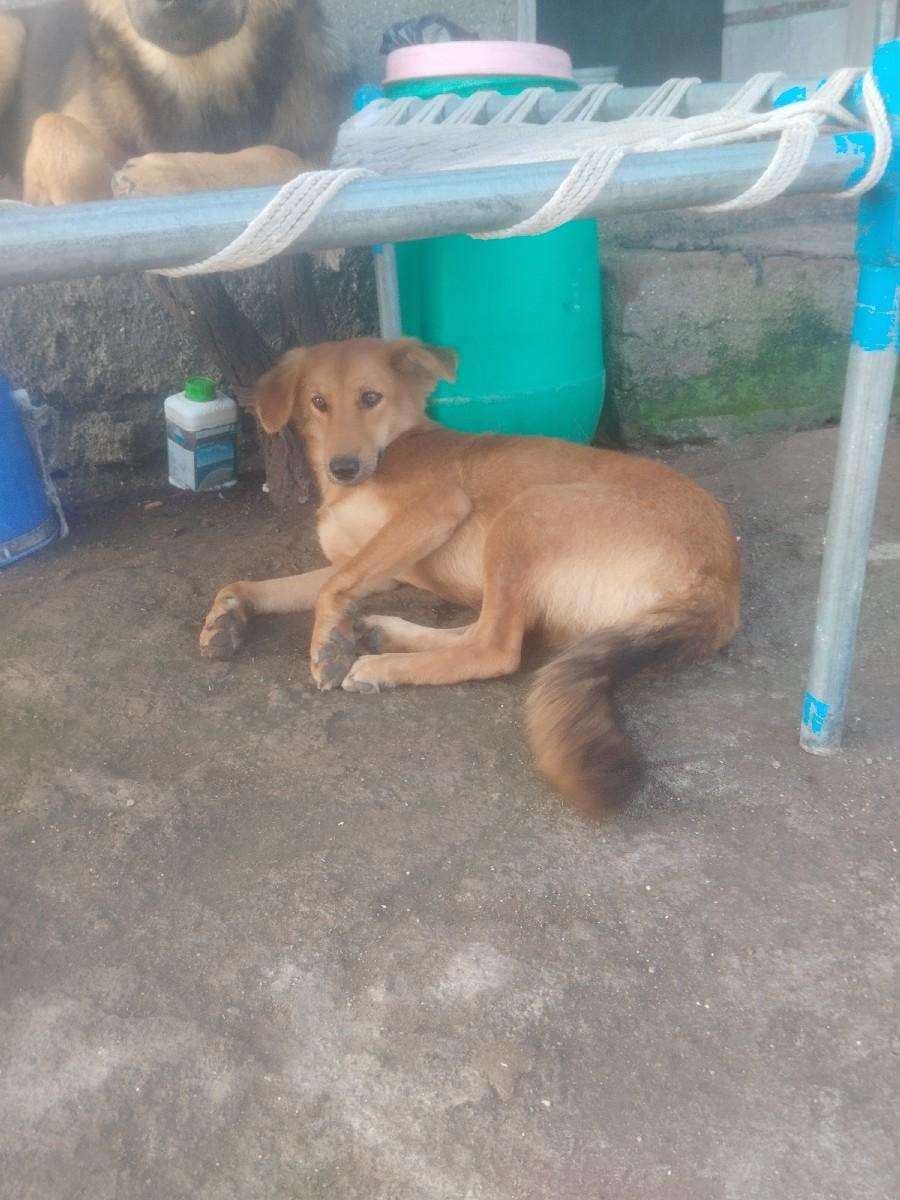 ક**** વેચવાની