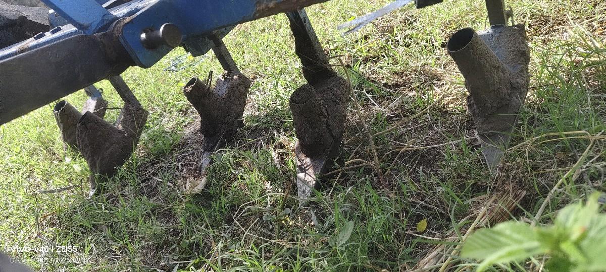 ઓરણી વેચવાની છે.