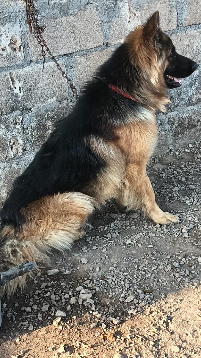 થંબનેલ 2