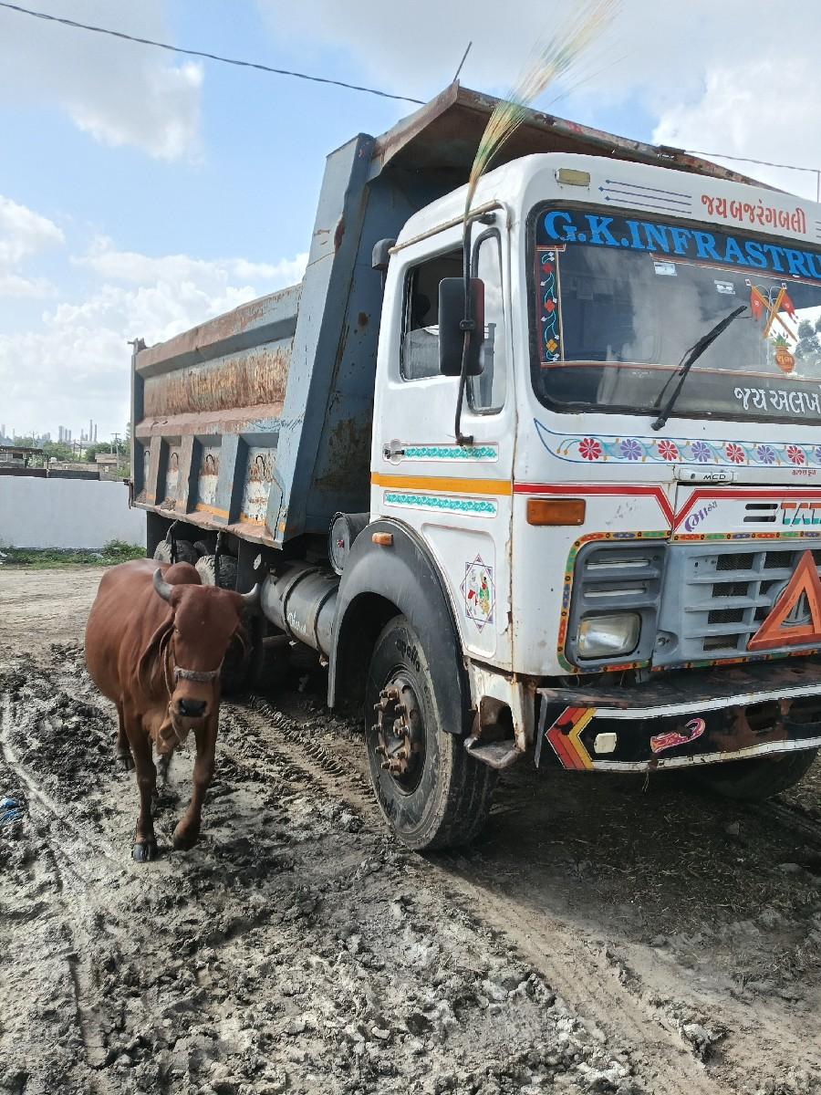 થંબનેલ 3