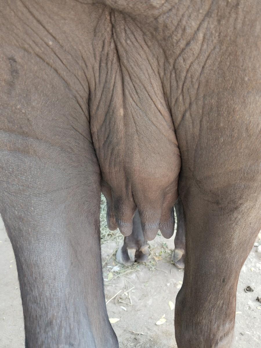 થંબનેલ 3