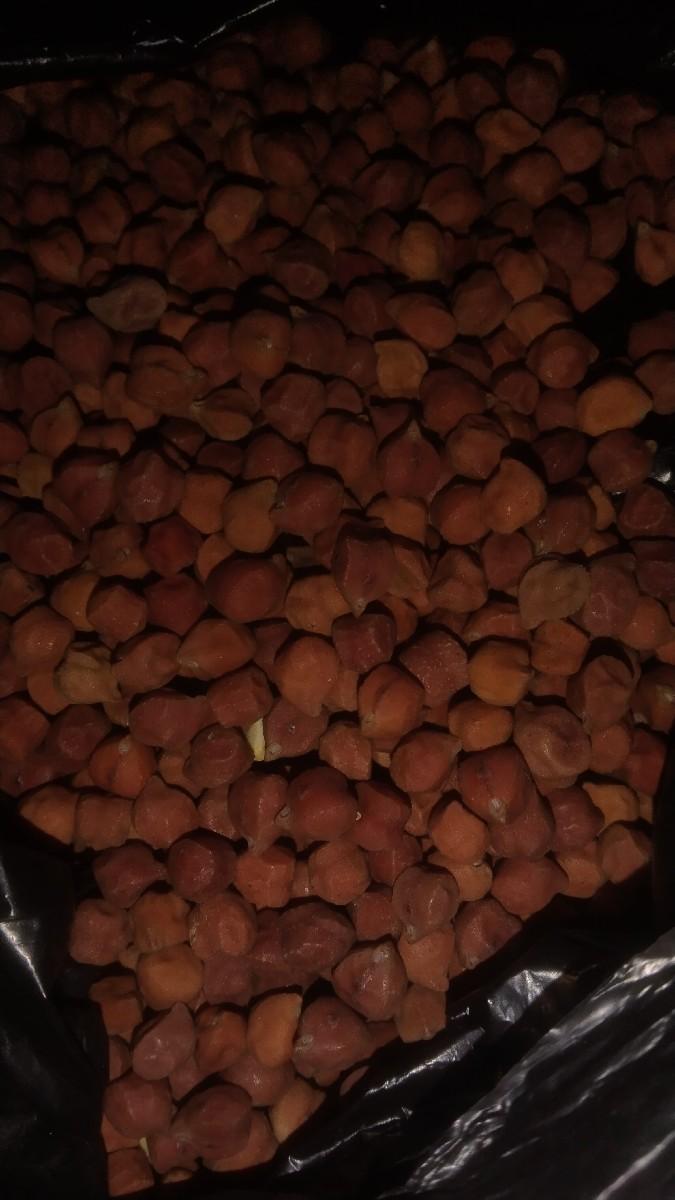ચણા નું બીયારણ  સગનુ છે 3નંબર