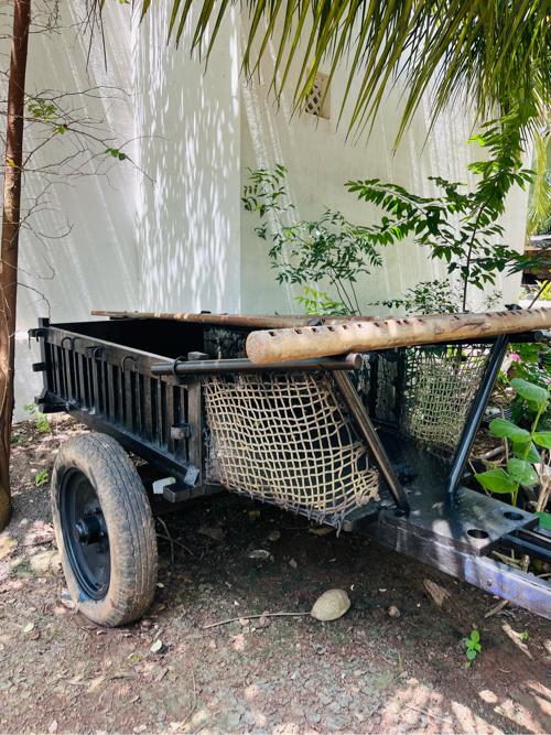 થંબનેલ 3