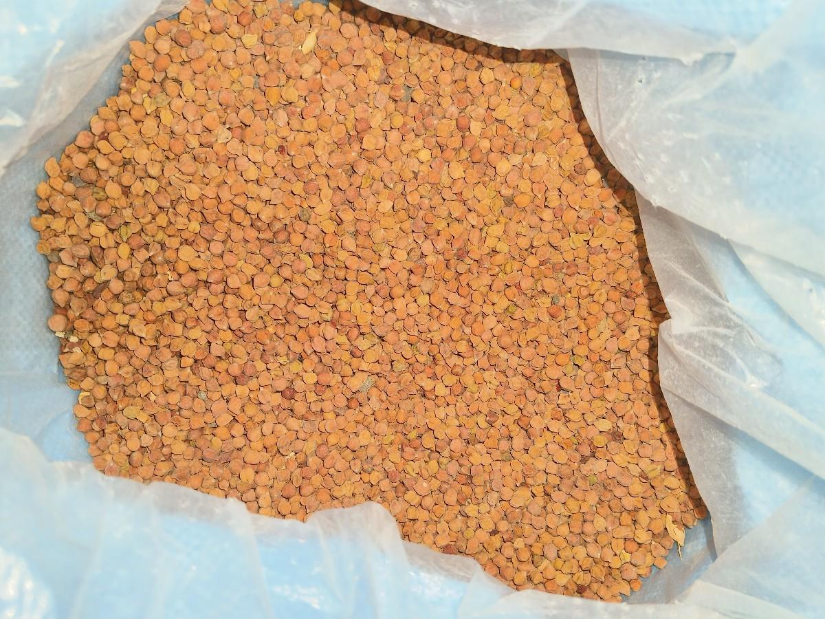 ચણા વેચવાના છે