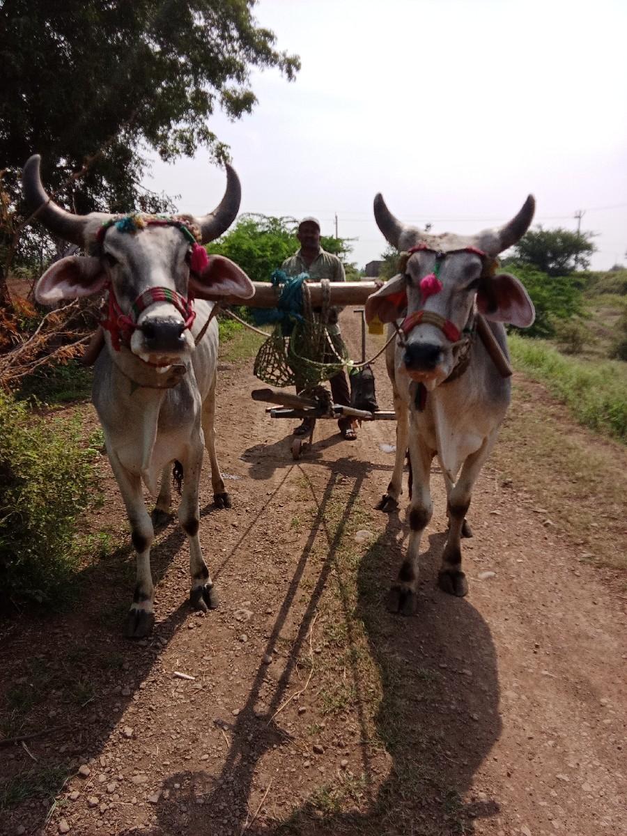 વેચવાના છે