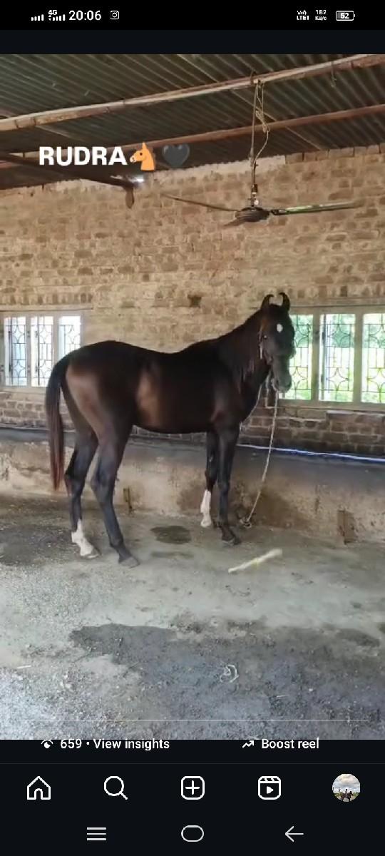 થંબનેલ 3