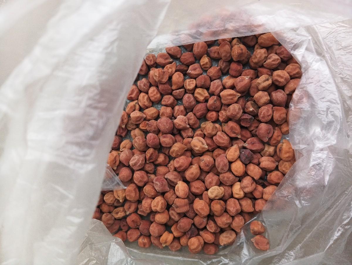 ચણા બિયારણ વેચવા નું છે