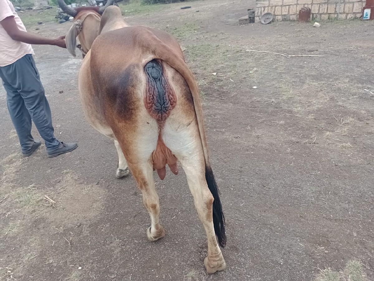 થંબનેલ 3