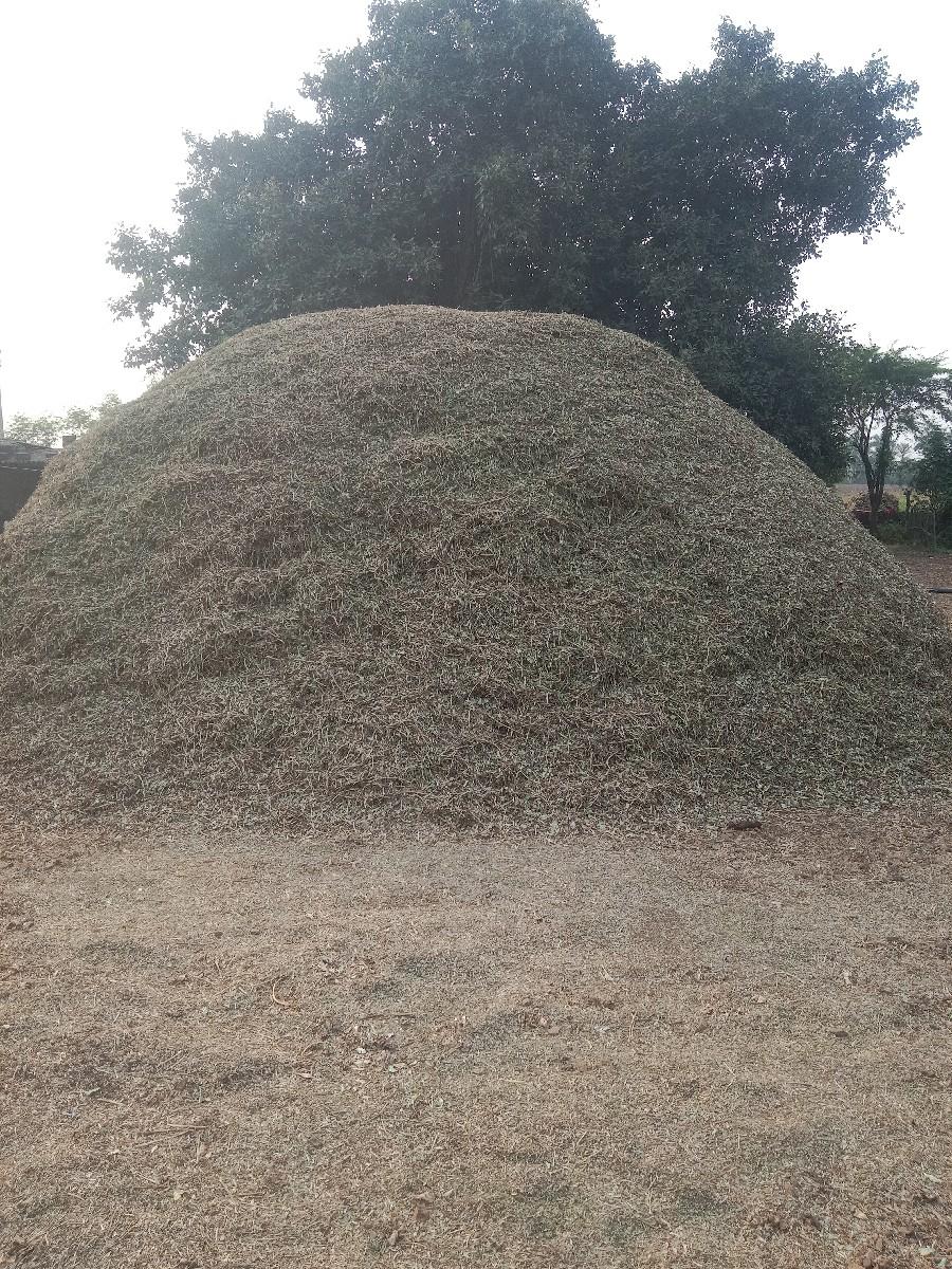 જી 20 નો ભૂકો વેસવાનો છે