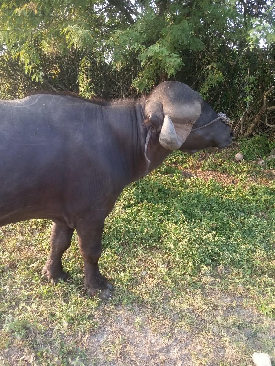 थंबनेल 2